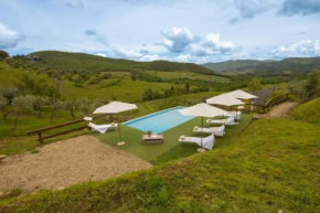 My Exclusive Italy - Villa Chianti with pool near the vineyard Greve In Chianti